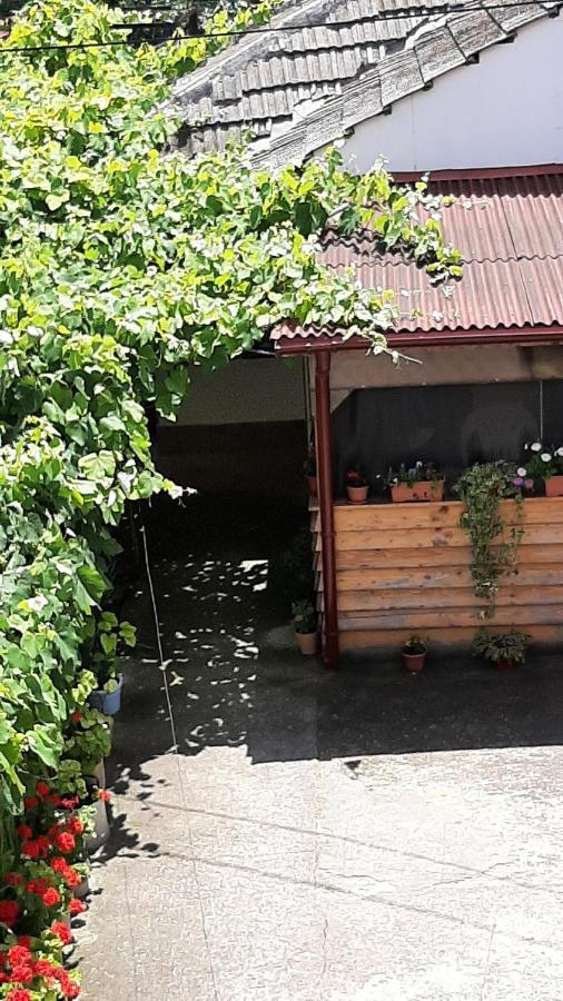 Hotel Bcm Family House Două Mai Exterior foto